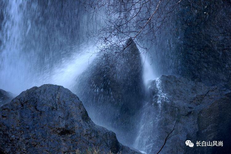 春雨直播app